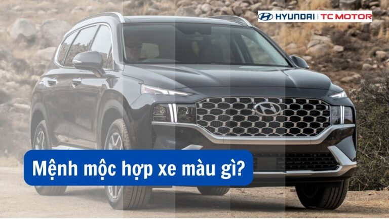 Mệnh Mộc Hợp Xe Màu Gì Thumb